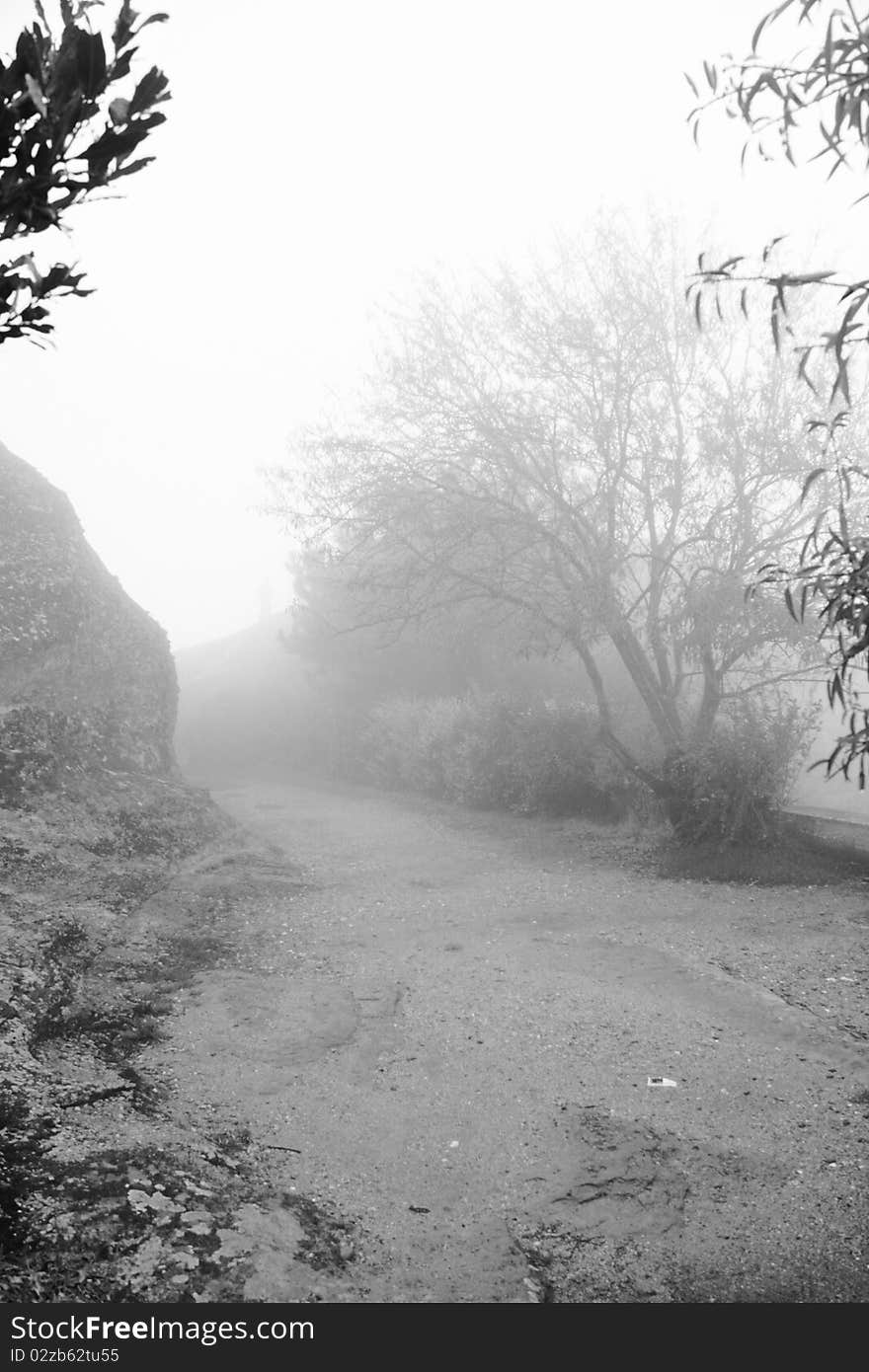 A misty track surrounded by vegetation in black and white