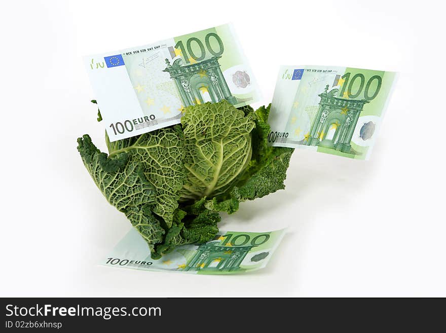 A head of savoy cabbage  with three one  three one hundred euro banknotes on white background. A head of savoy cabbage  with three one  three one hundred euro banknotes on white background