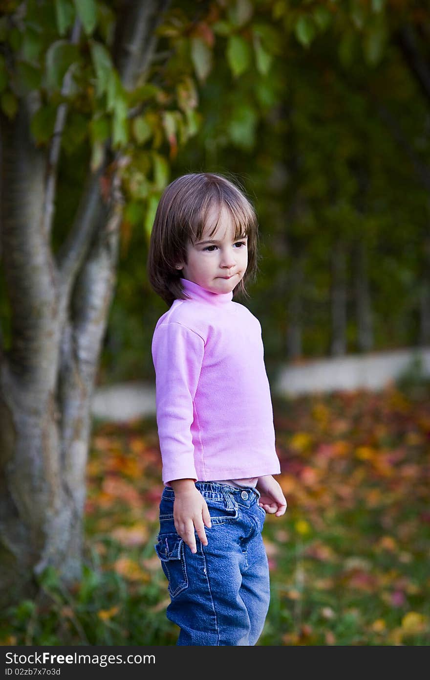 Portrait of a little girl in the autumn park. Portrait of a little girl in the autumn park