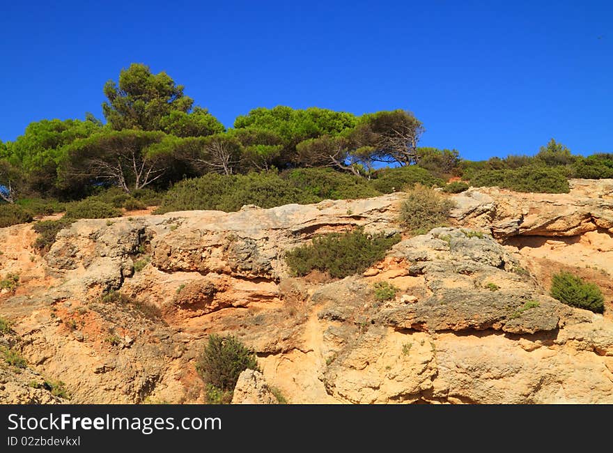 Cliffs and trees