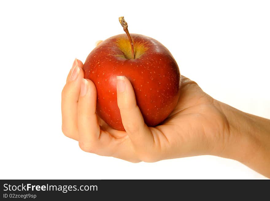 Holding red apple in human hand