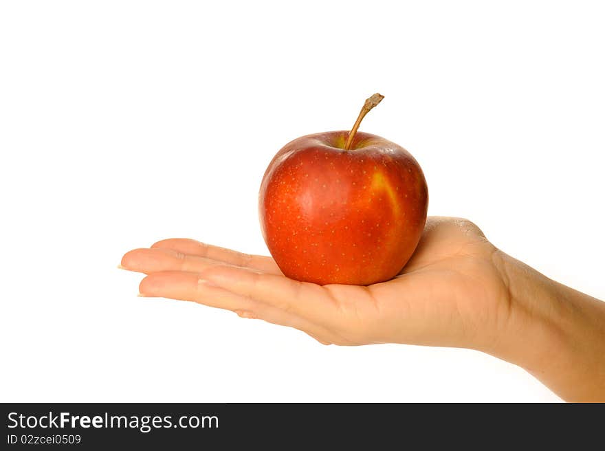 Holding red apple in human hand