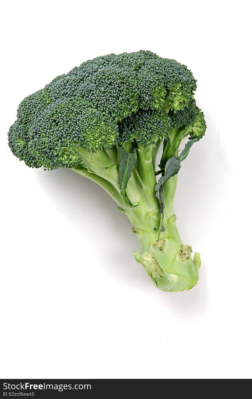 A green broccoli on the white