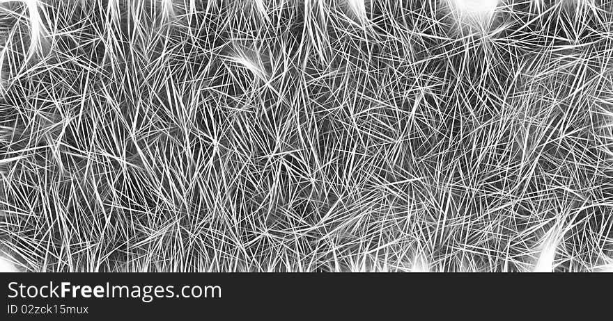 Hairs spines texture background