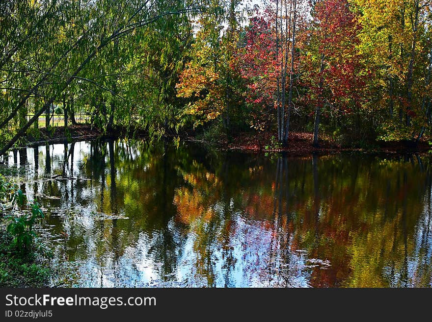 Peaceful fall scene of colorful trees and lake. Peaceful fall scene of colorful trees and lake.