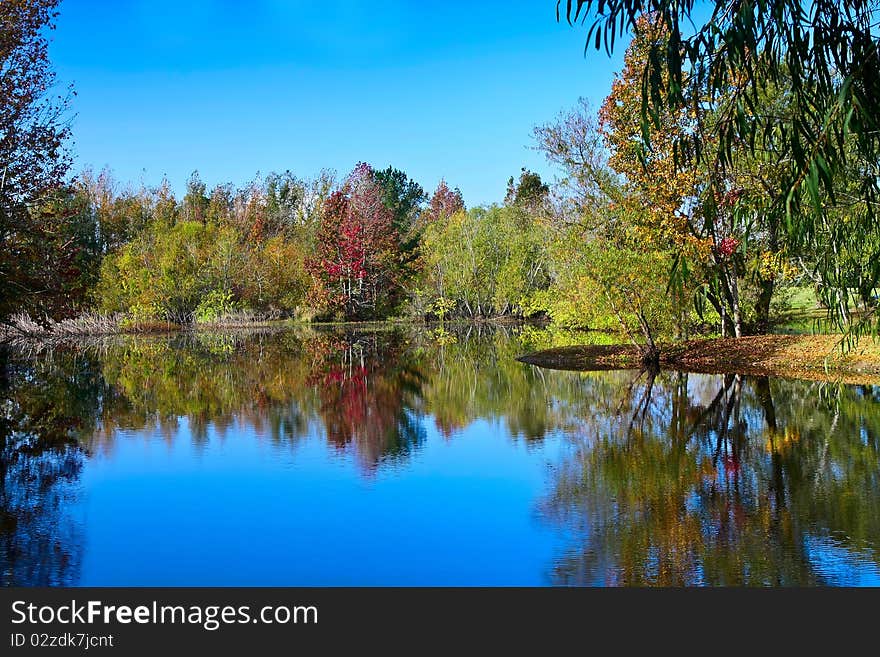 Peaceful fall scene of colorful trees and lake. Peaceful fall scene of colorful trees and lake.