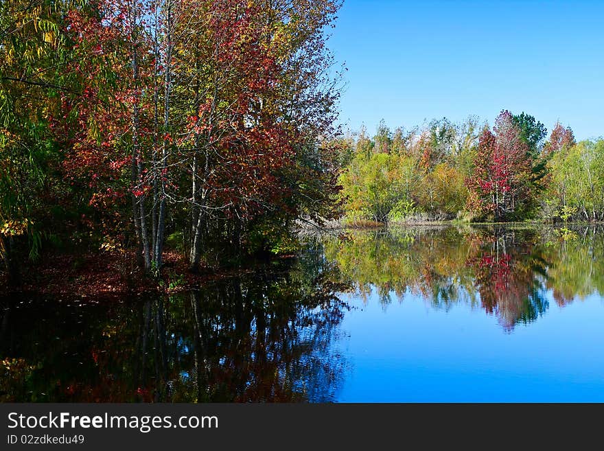 Peaceful fall scene of colorful trees and lake. Peaceful fall scene of colorful trees and lake.