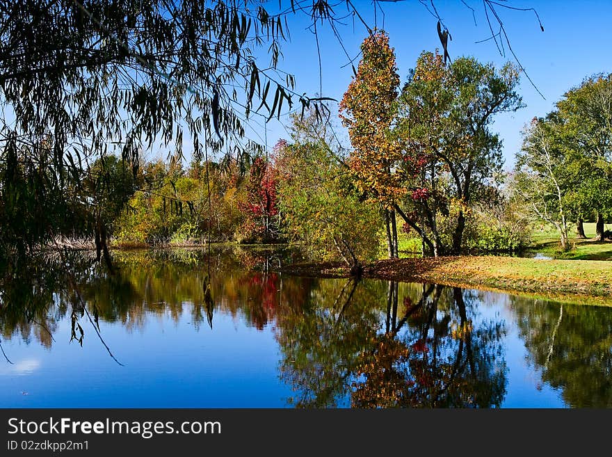 Peaceful fall scene of colorful trees and lake. Peaceful fall scene of colorful trees and lake.