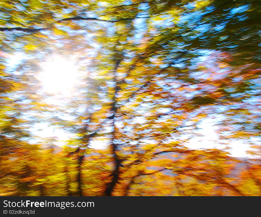 Shinning abstract autumn forest full of yellow and green clours