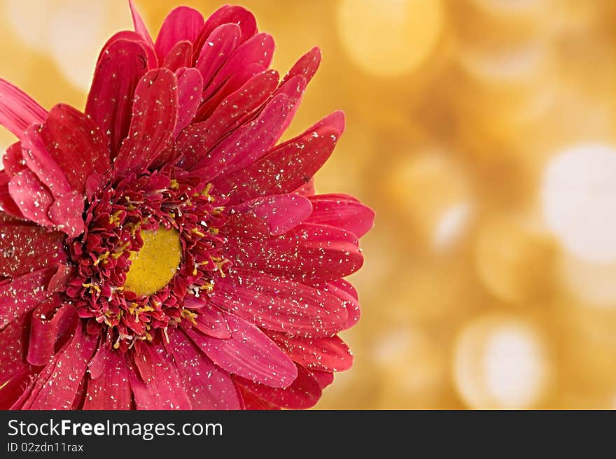 Large fake pink daisy with faded gold light background. Large fake pink daisy with faded gold light background.