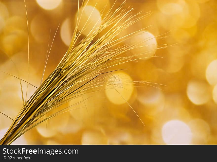 Background gold and field grass