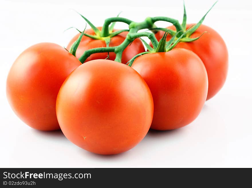 Tomatoes isolated on white background