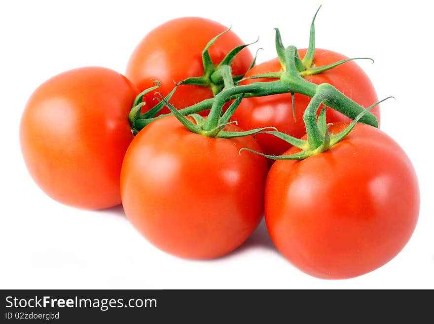 Tomatoes isolated on white background