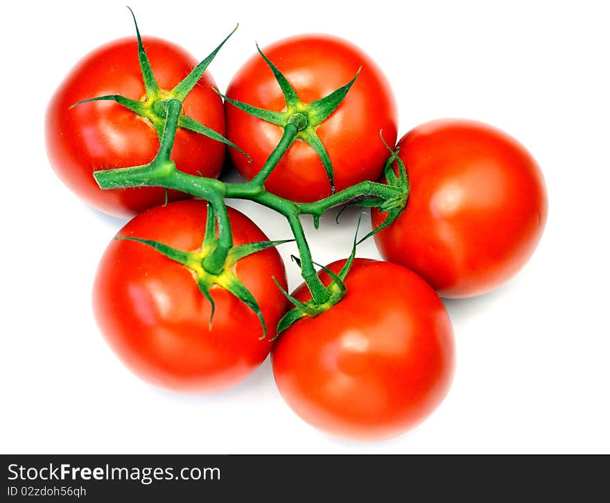 Tomatoes isolated on white background