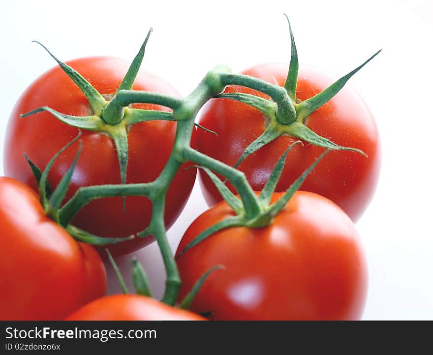 Tomatoes isolated on white background