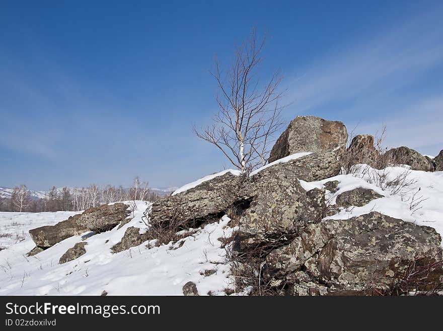 Winter mountain landscape