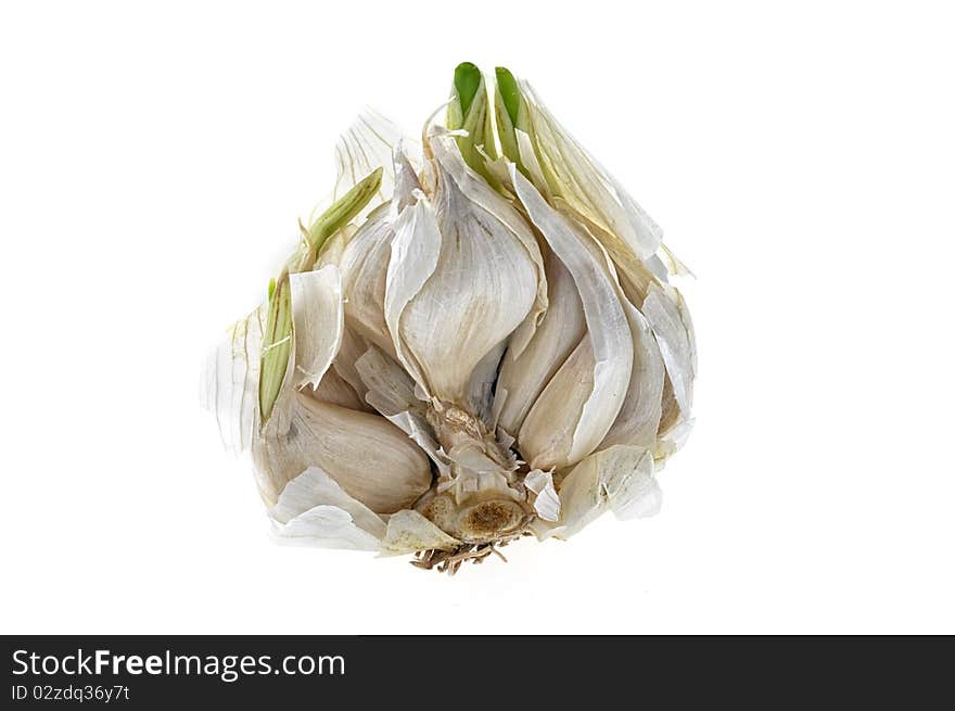 Opened bud of garlic - isolated on white. Opened bud of garlic - isolated on white