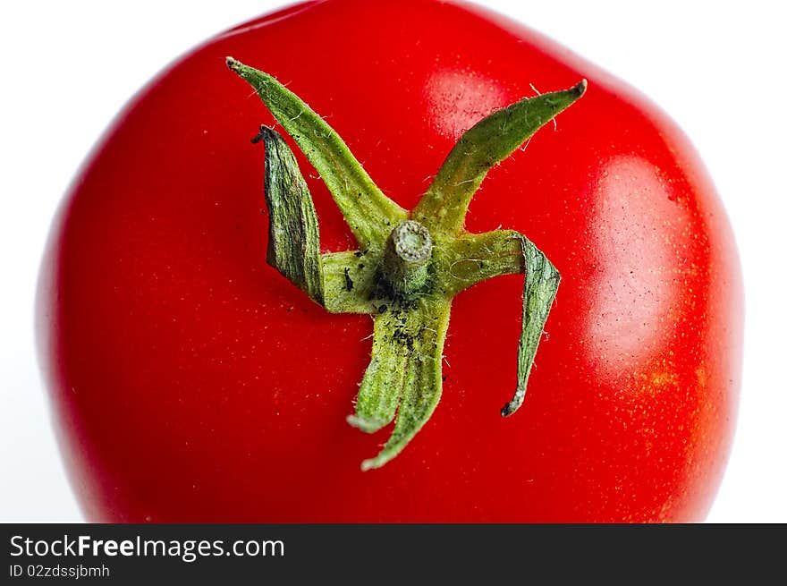 Macro shot ofTomato on white. Macro shot ofTomato on white