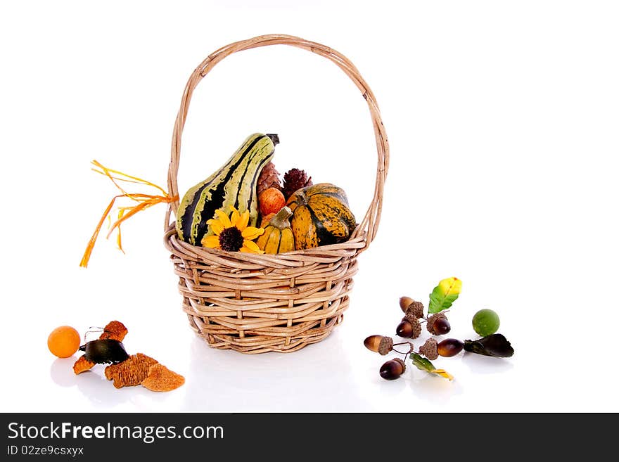 Squashes and pine cones in a wicker basket isolated over white