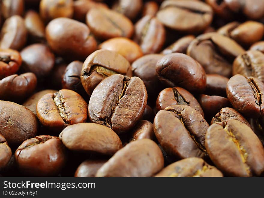 Background with many coffee beans. Background with many coffee beans