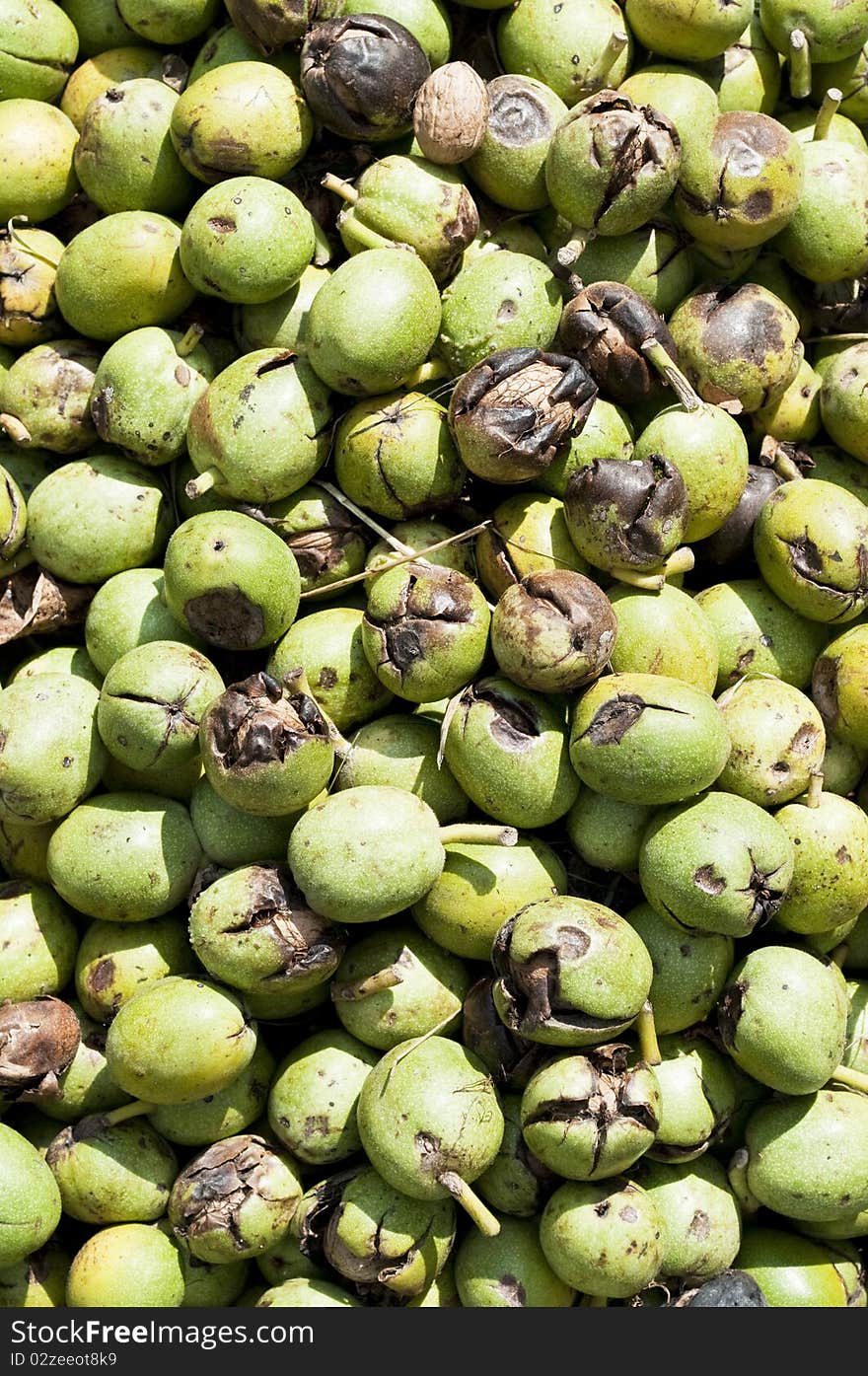 Green walnuts background - fresh walnuts