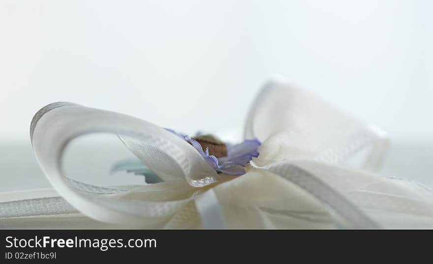 White bow on white background