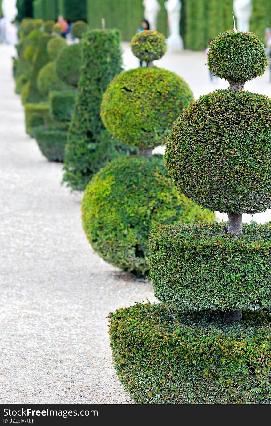 Neatly cut garden in Versailles, Paris