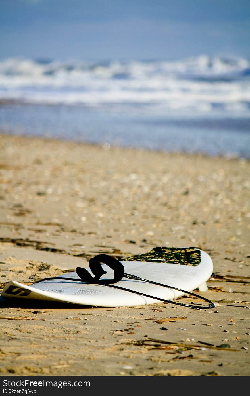 Taking a break while surfing in the cold water. Taking a break while surfing in the cold water