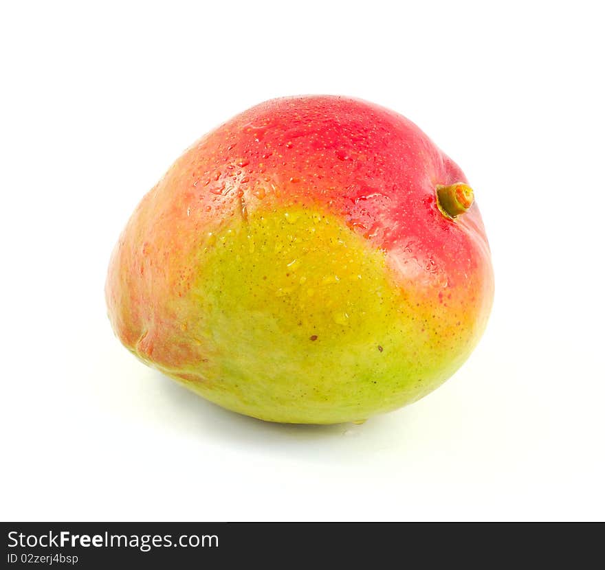 Ripe mango with water drops