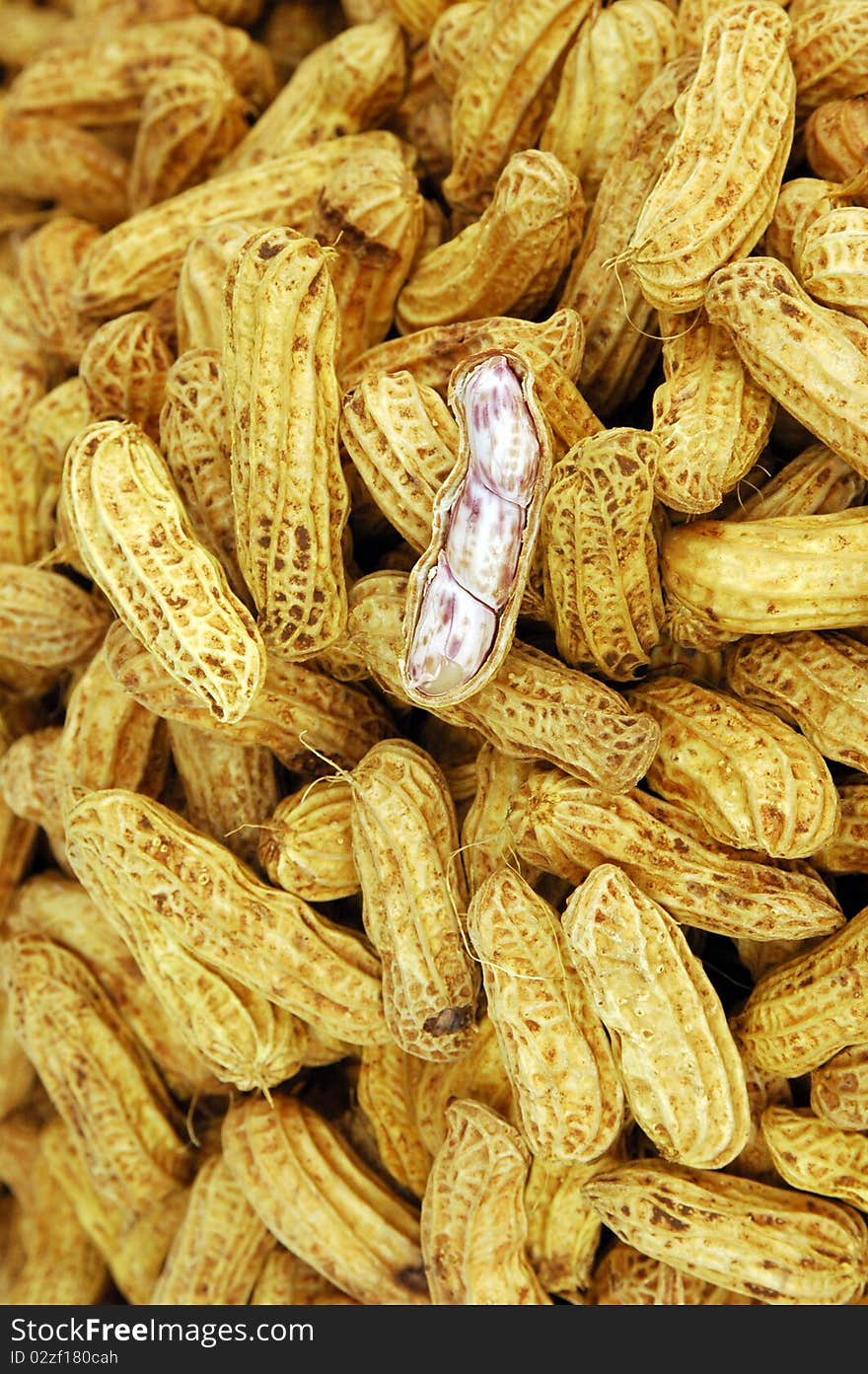 Boiled peanuts are green or raw nuts that are boiled in salty water for hours outdoors over a fire. The shells turn soggy, and the peanuts take on a fresh, legume flavor.