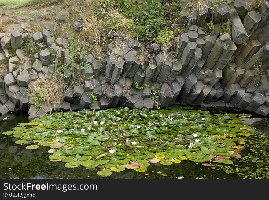 Pond with water lilies under the basalt columns resulting from the excavated pit is filled with rainwater.