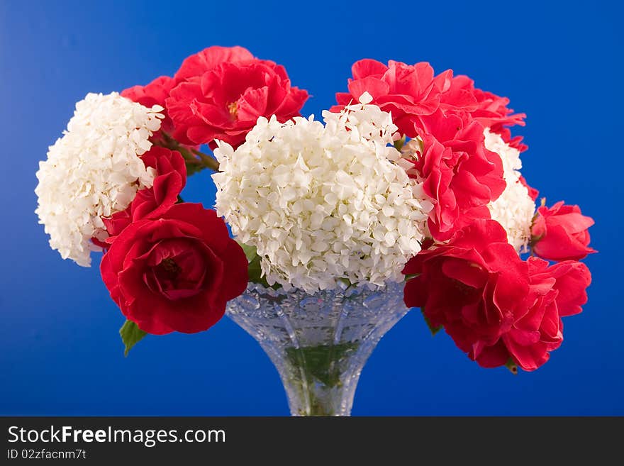 Beautiful bouquet isolated on a blue background