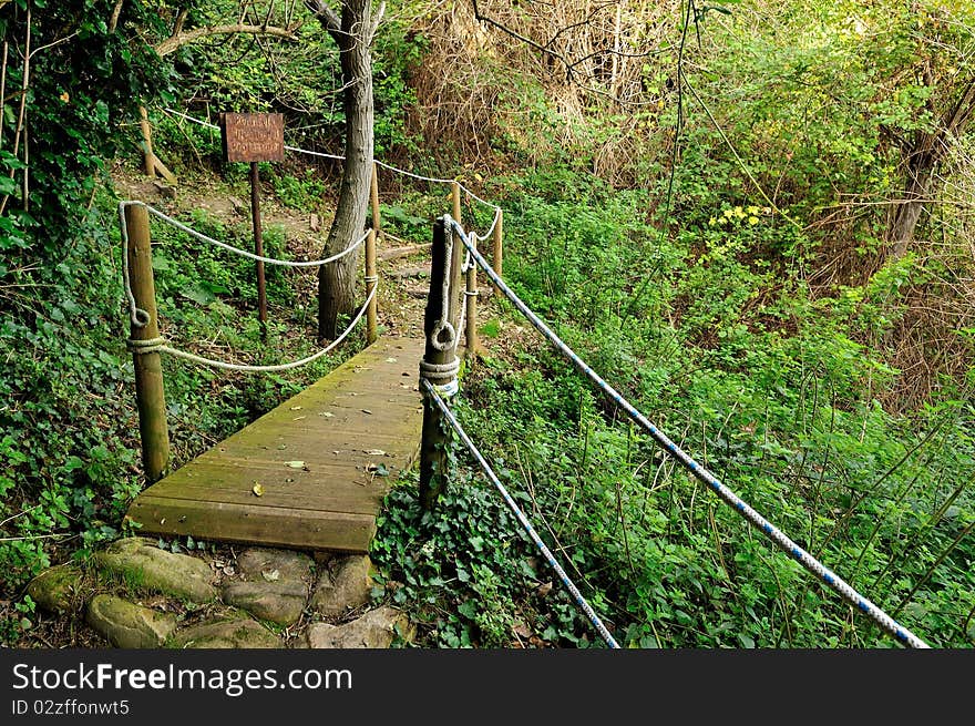 A wooden footbridge on a trail across mountain woods