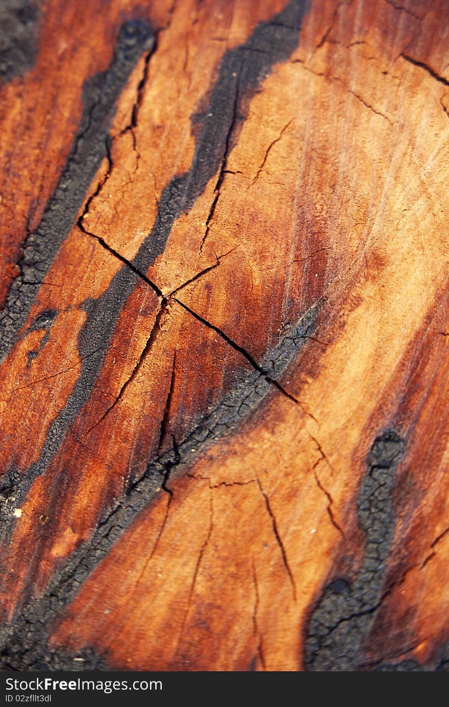 Burn wood texture, close up wooden cut texture