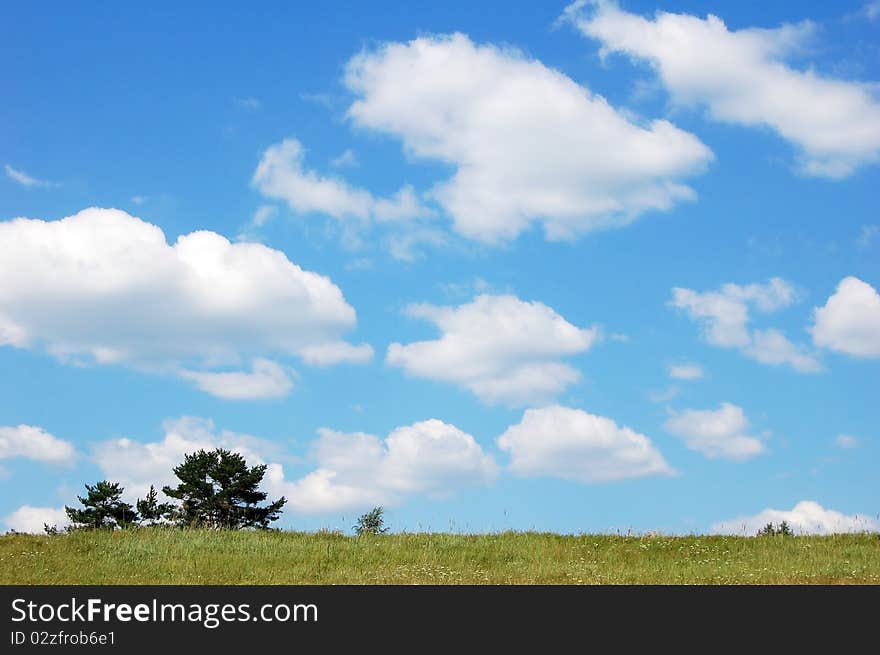 Landscape with field or sky in the summer