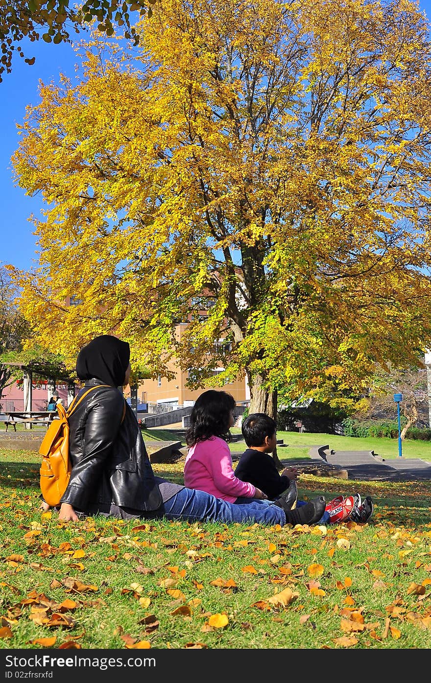 A happy and active Malaysian family sitting together bonding on the lawn , watching autumn leaves turn colour , and having a picnic. A happy and active Malaysian family sitting together bonding on the lawn , watching autumn leaves turn colour , and having a picnic.