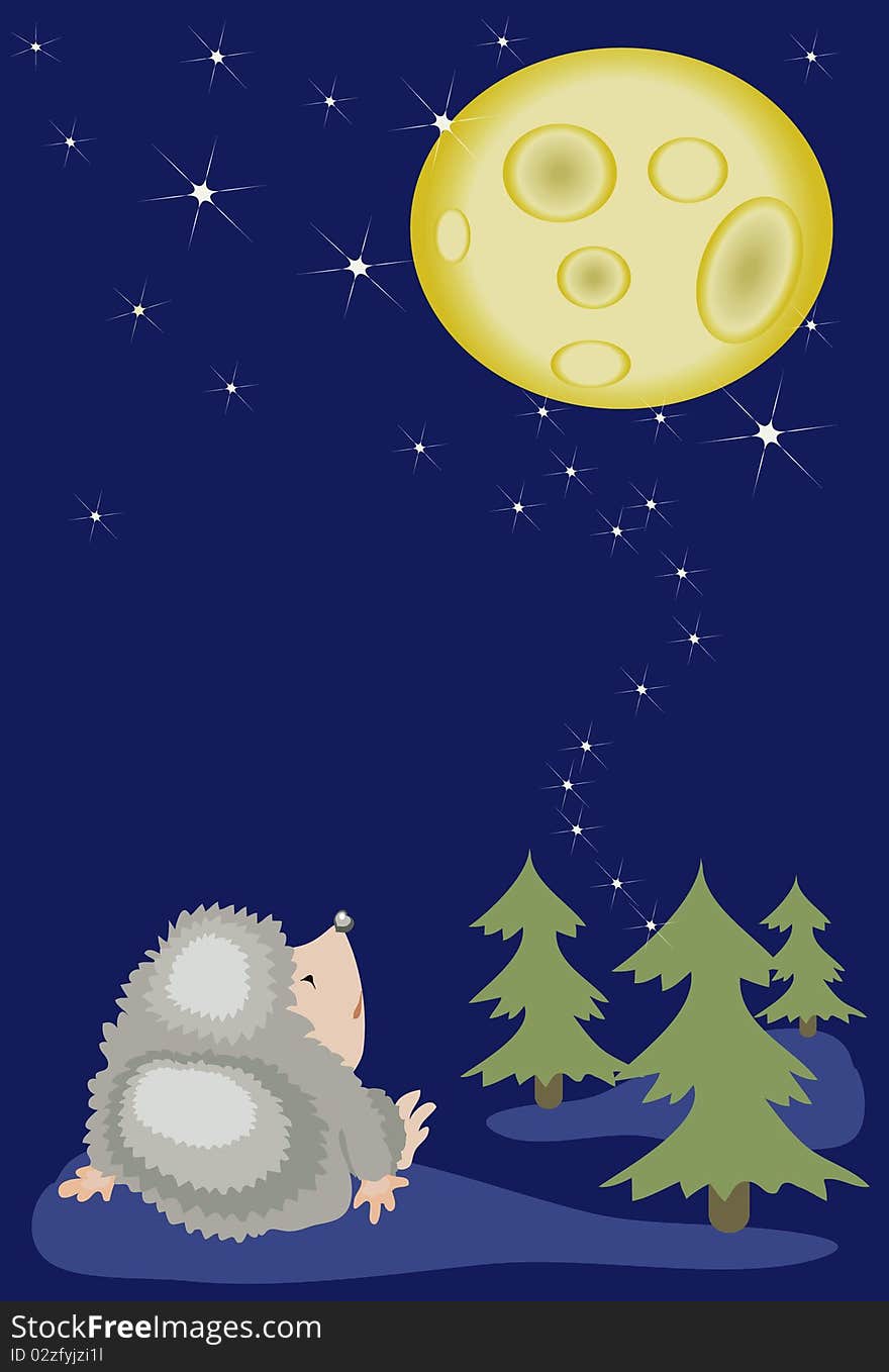 Hedgehog Looks On The Moon.