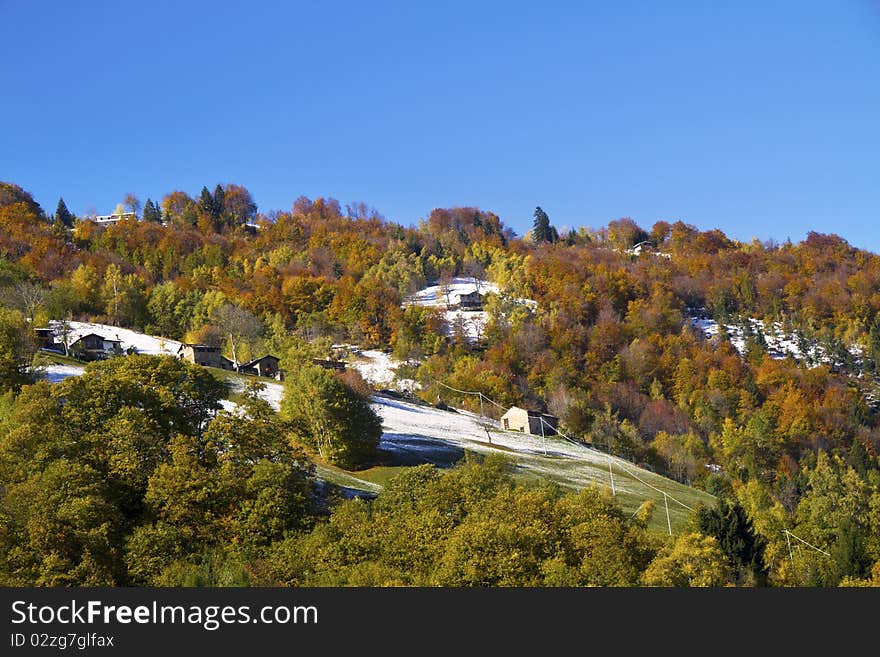 Forest in autumn with the first snow. Forest in autumn with the first snow