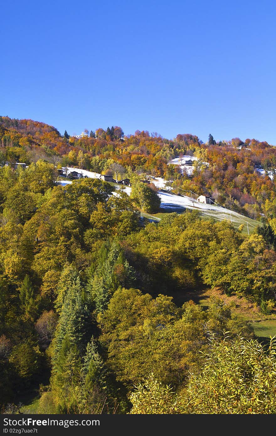 Forest in autumn with the first snow. Forest in autumn with the first snow