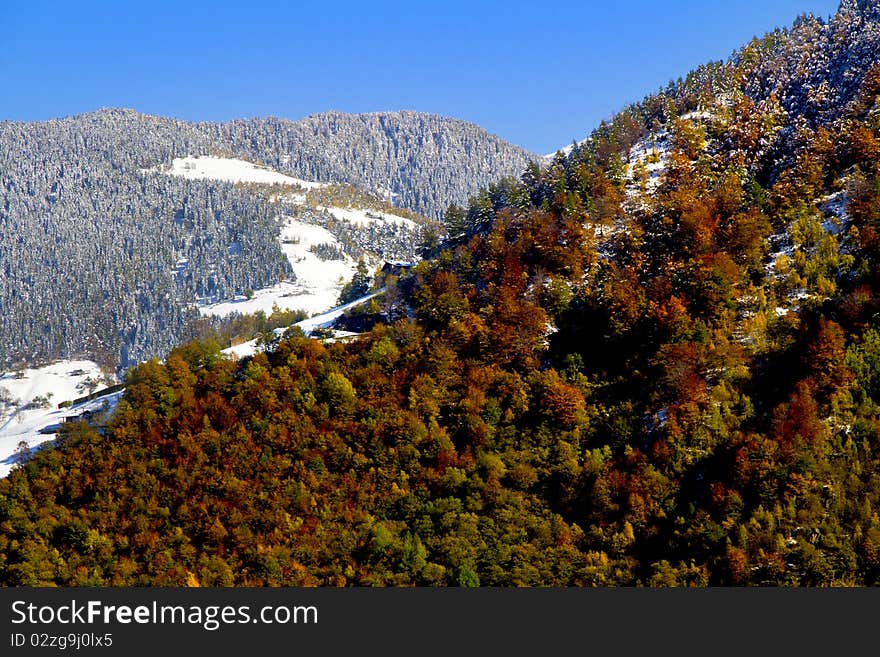 Autumn Landscape