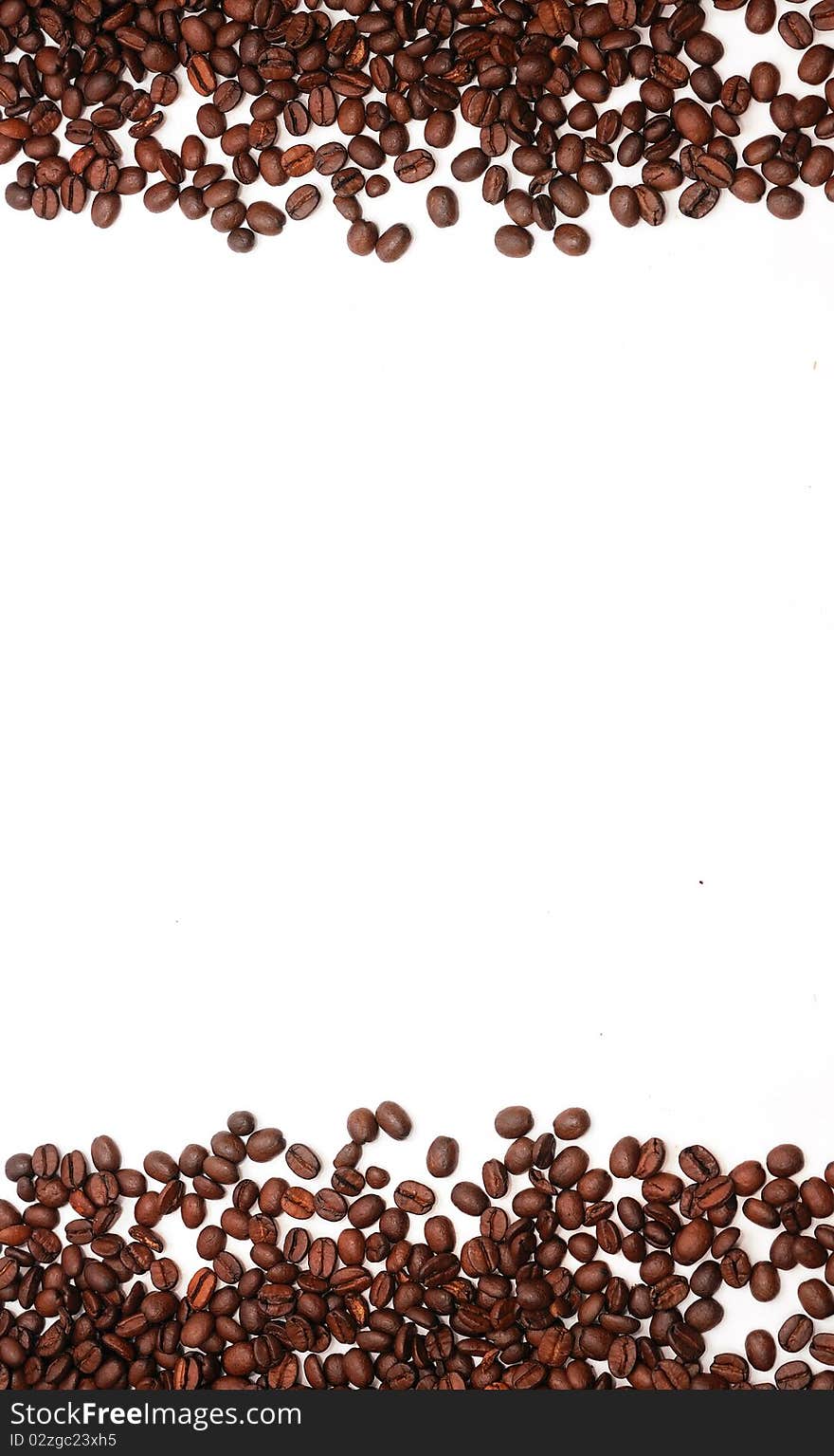 Coffee beans on white background