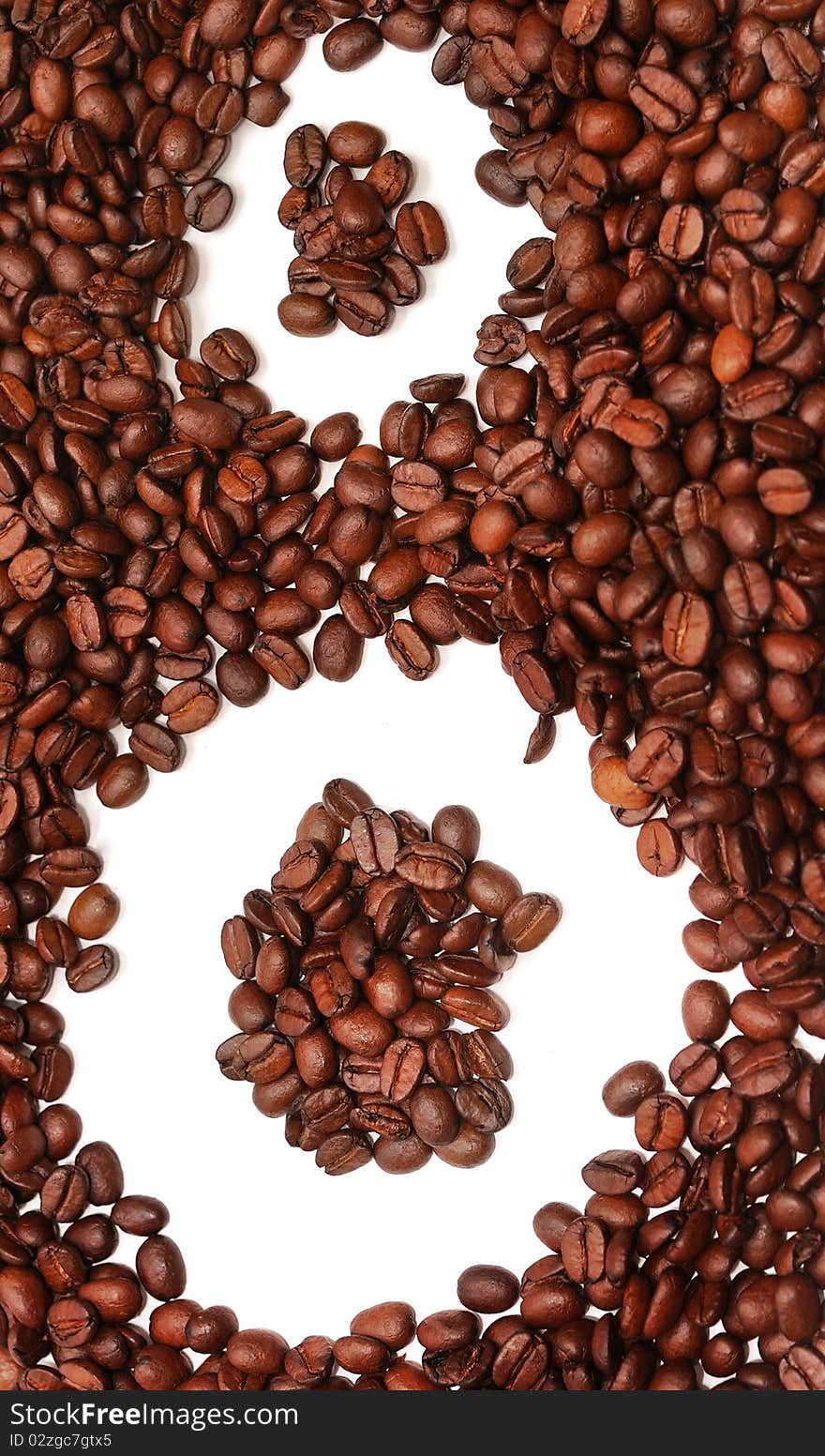 Coffee beans on white background