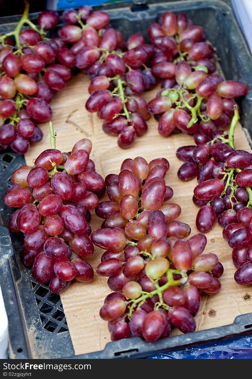 Grape is the popular favorite fruit. Grape is the popular favorite fruit.