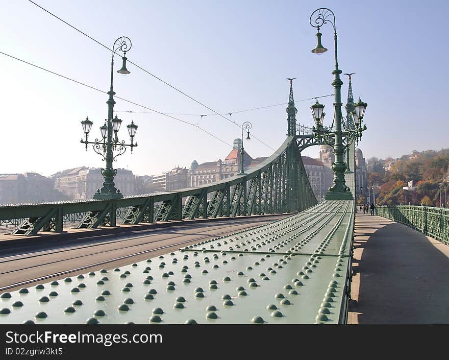 Freedom bridge on danube river in Budapest, Hungary, europe