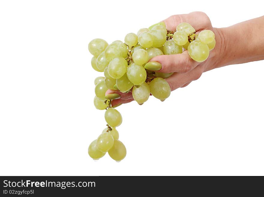 Grape in hand isolated on white. Grape in hand isolated on white.