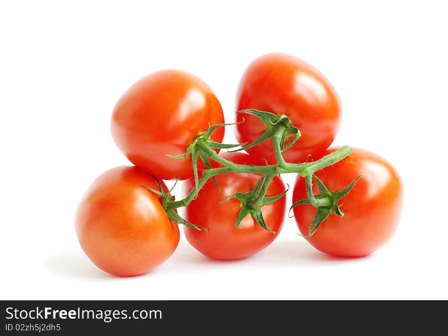 Branch of tomato isolated over white background. Branch of tomato isolated over white background