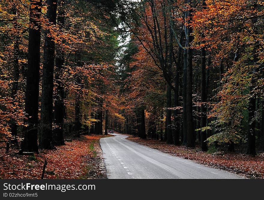 Nice country road with beautiful autumn colors. Nice country road with beautiful autumn colors