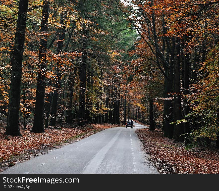 Nice country road  with beautiful autumn colors. Nice country road  with beautiful autumn colors