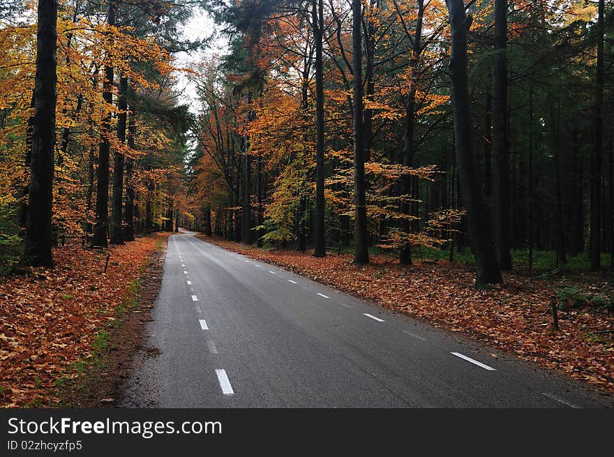 Nice country road with beautiful autumn colors. Nice country road with beautiful autumn colors