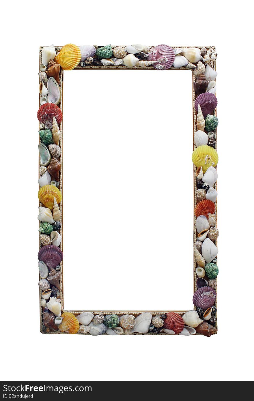 Frame With Many Different Seashells